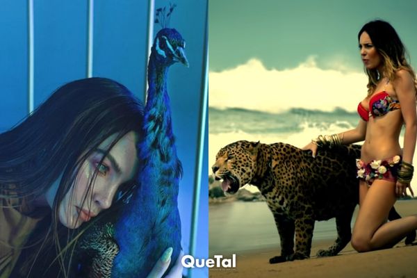 Belinda está siendo investigada por posible posesión ilegal de animales exóticos en su casa